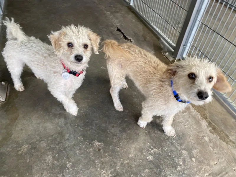 Evan And Owen thumbnail 3