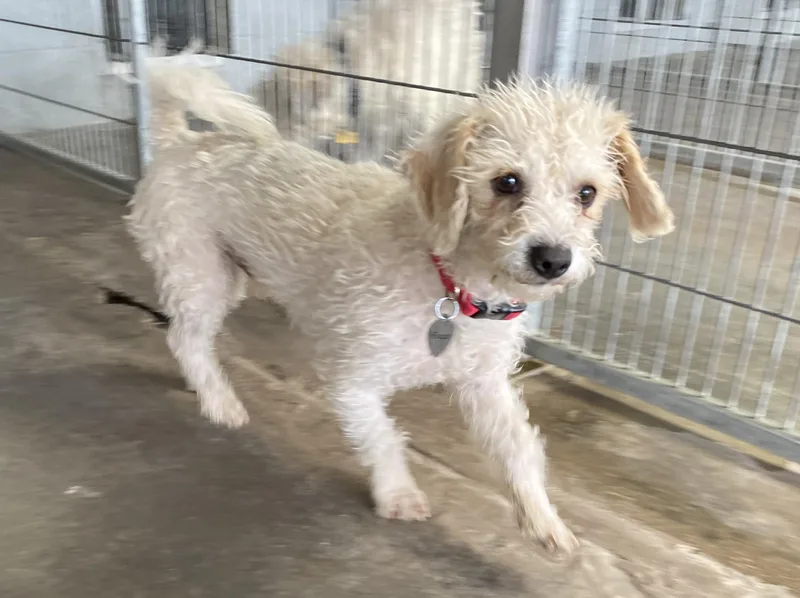 Evan And Owen thumbnail 4