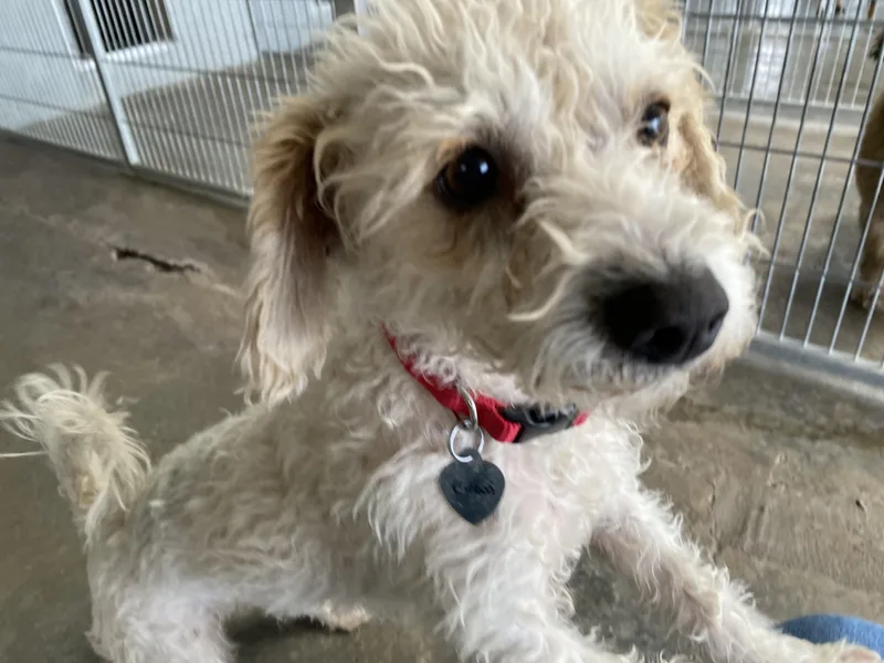 Evan And Owen thumbnail 6