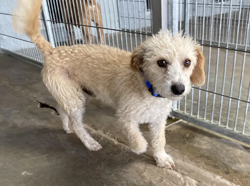 Evan And Owen thumbnail 5