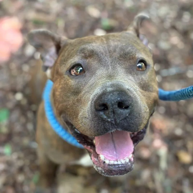 Princess (id /) photo 1