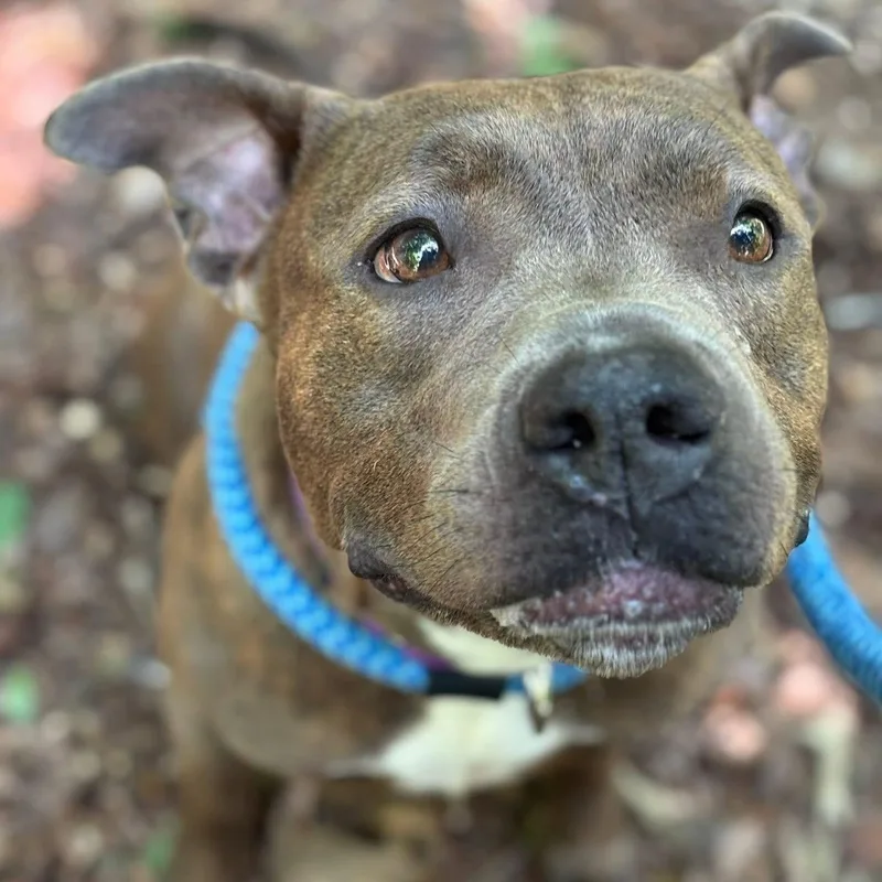 Princess (id /) thumbnail 2