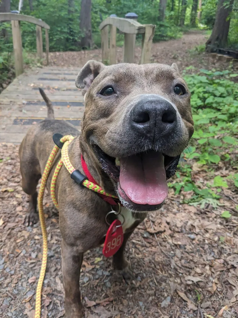 Princess (id /) thumbnail 3