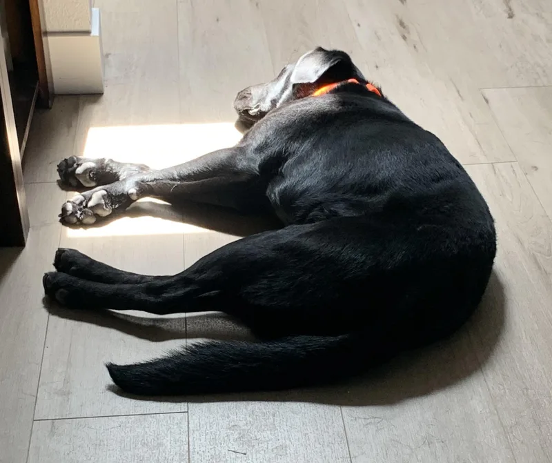 Maverick thumbnail 2