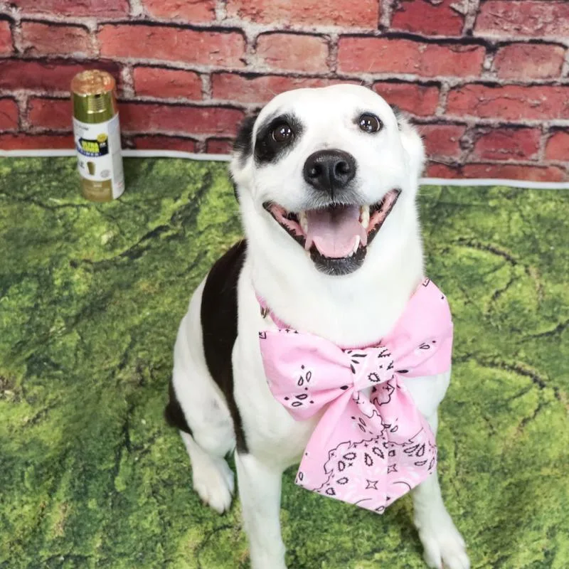 Graffiti thumbnail 2