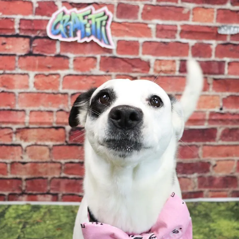 Graffiti thumbnail 3