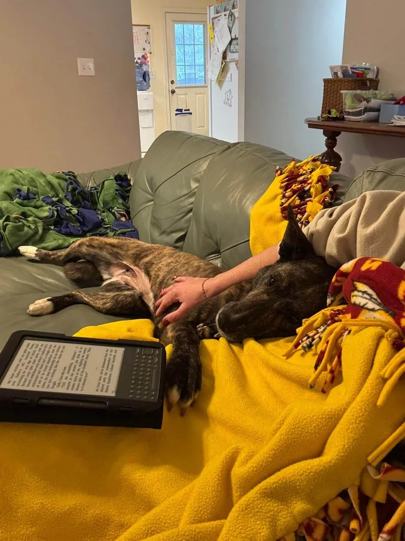 Penelope thumbnail 4