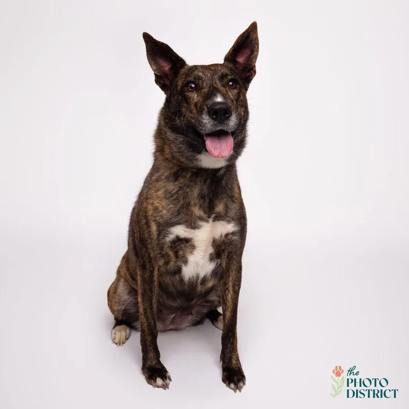 Penelope thumbnail 3