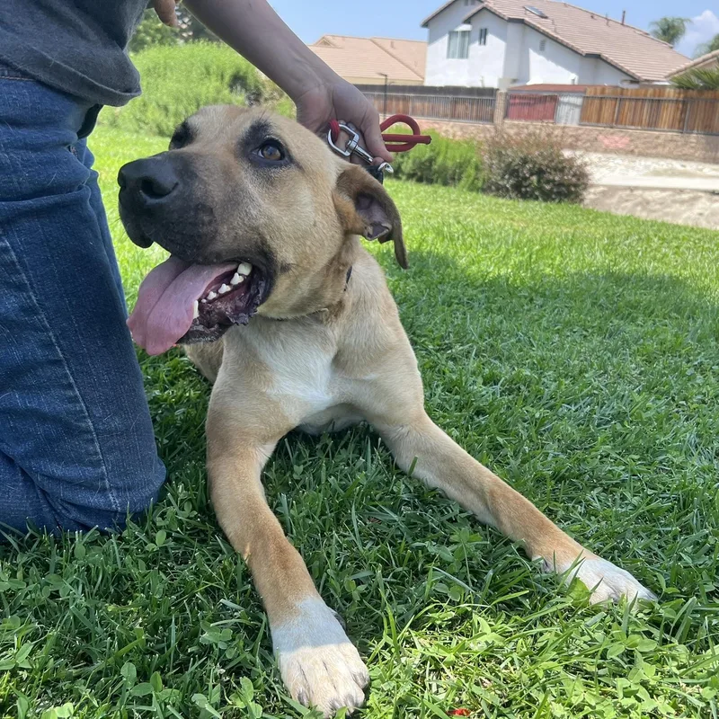 Magical Mikey!!! thumbnail 5