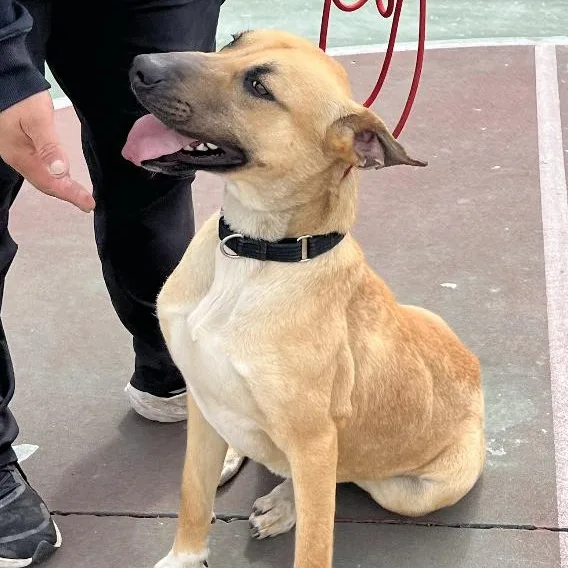 Magical Mikey!!! thumbnail 3