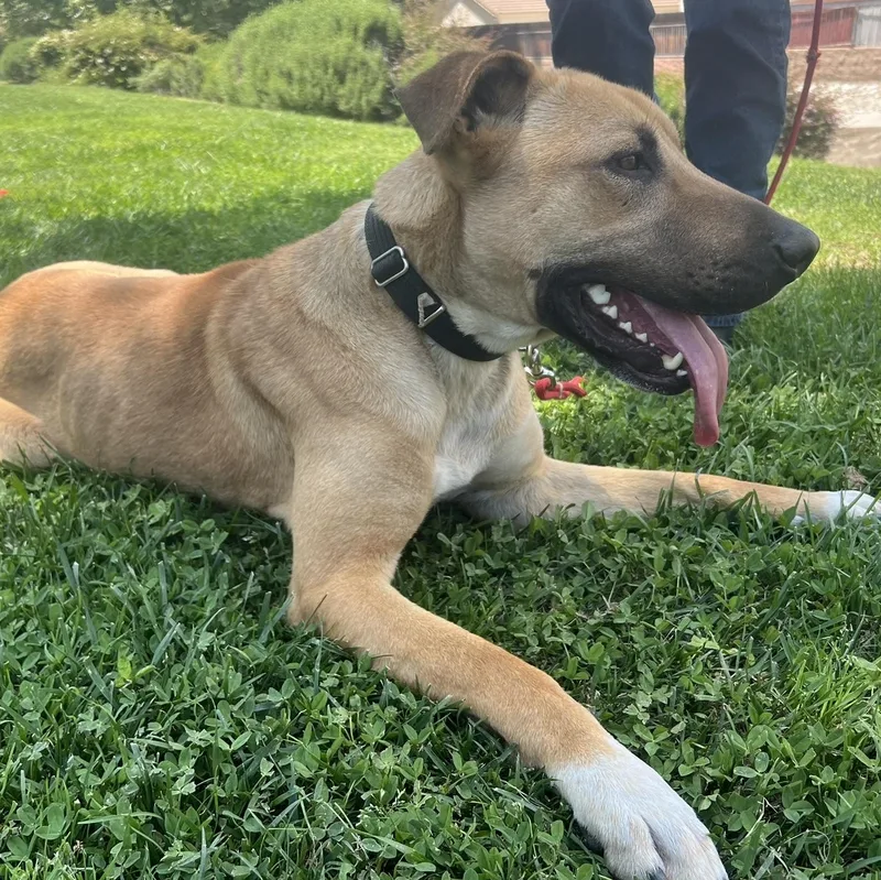 Magical Mikey!!! thumbnail 6