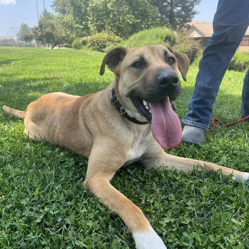 Magical Mikey!!! thumbnail 2