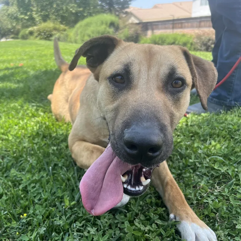 Magical Mikey!!! thumbnail 4