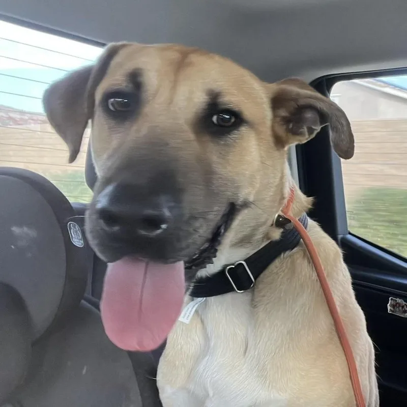 Magical Mikey!!! photo 1