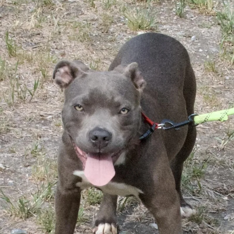 Sad Eyes thumbnail 3