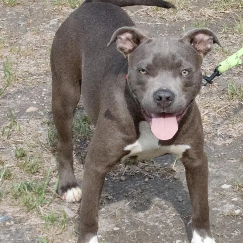 Sad Eyes thumbnail 2