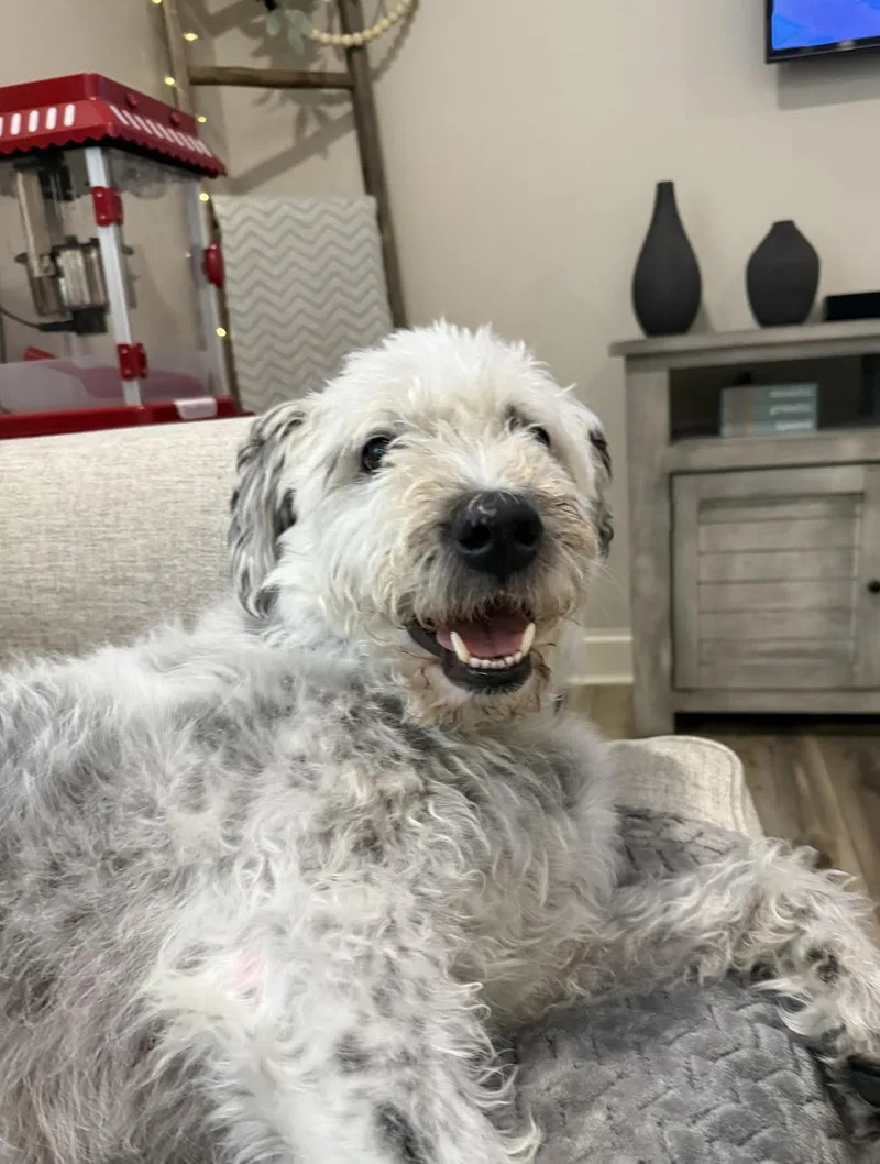 Tiberius thumbnail 4