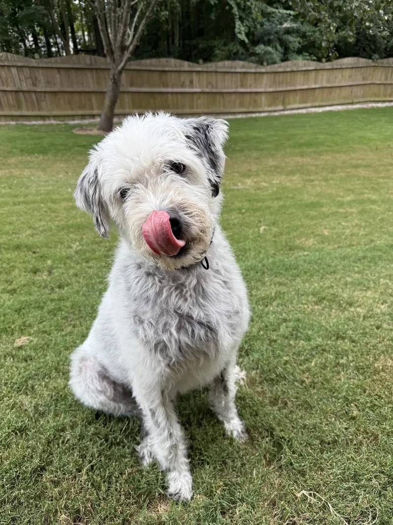 Tiberius thumbnail 5