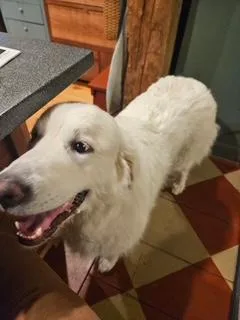 Sasha In New England photo 1