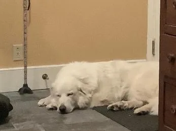 Sasha In New England thumbnail 2