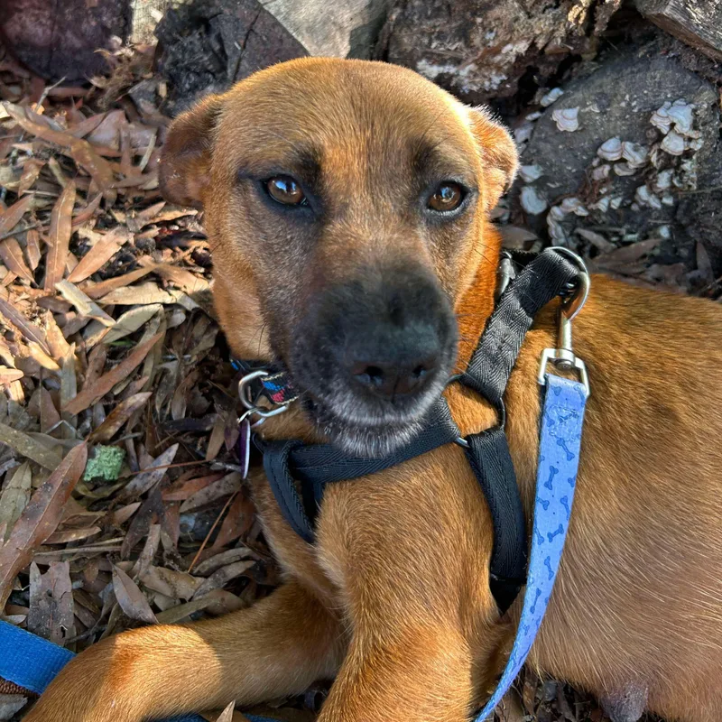 Tortellini thumbnail 2