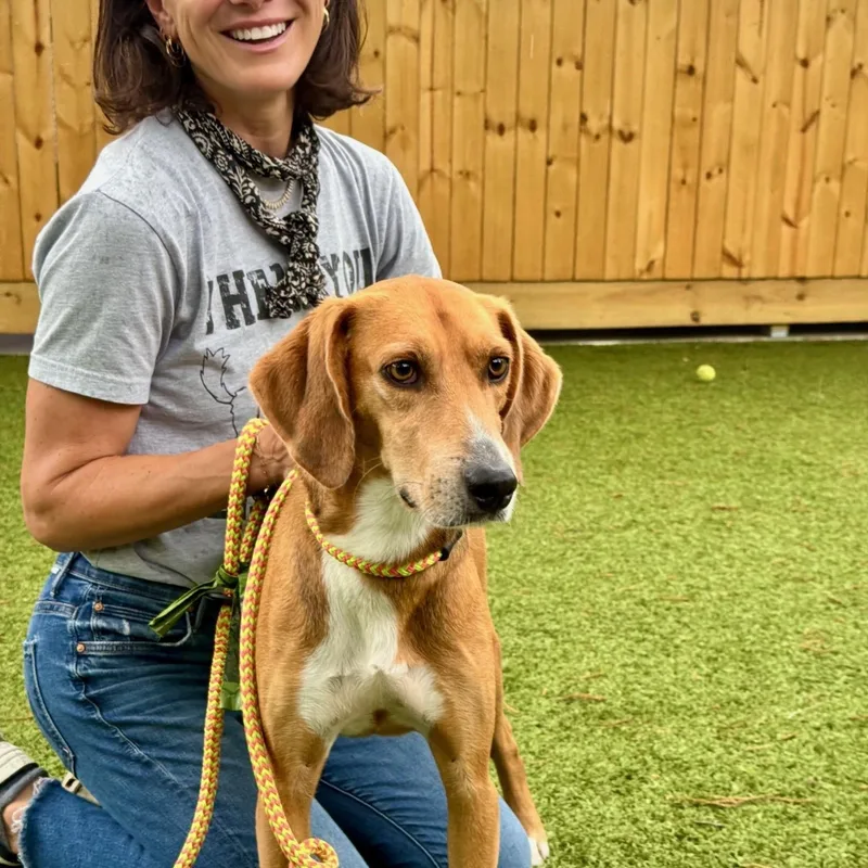 Bon Jovi thumbnail 3