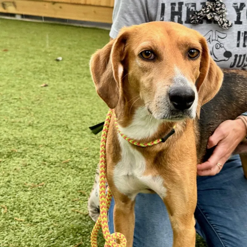 Bon Jovi thumbnail 2