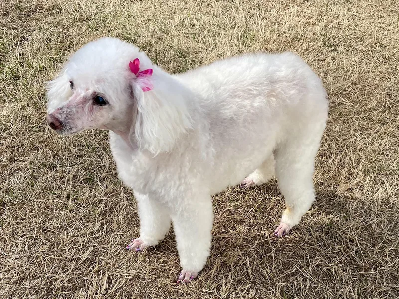 Valley Girl In Texarkana thumbnail 6