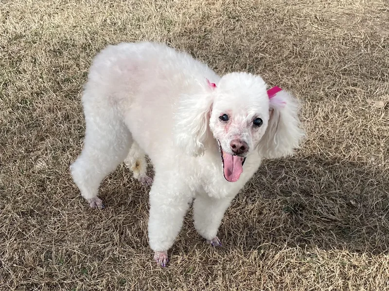 Valley Girl In Texarkana thumbnail 4