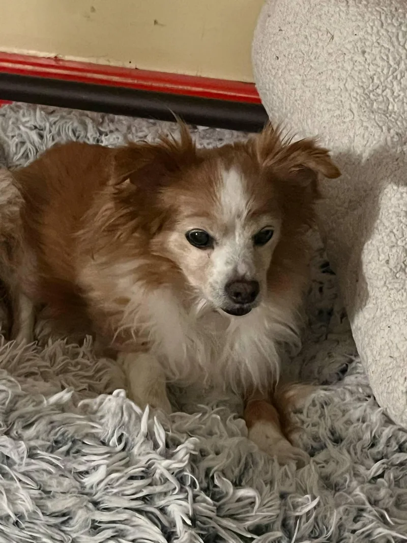 Max And Molly thumbnail 3