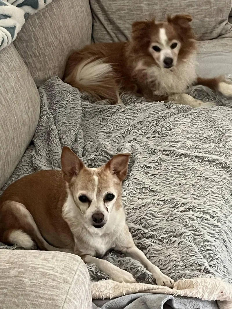 Max And Molly photo 1