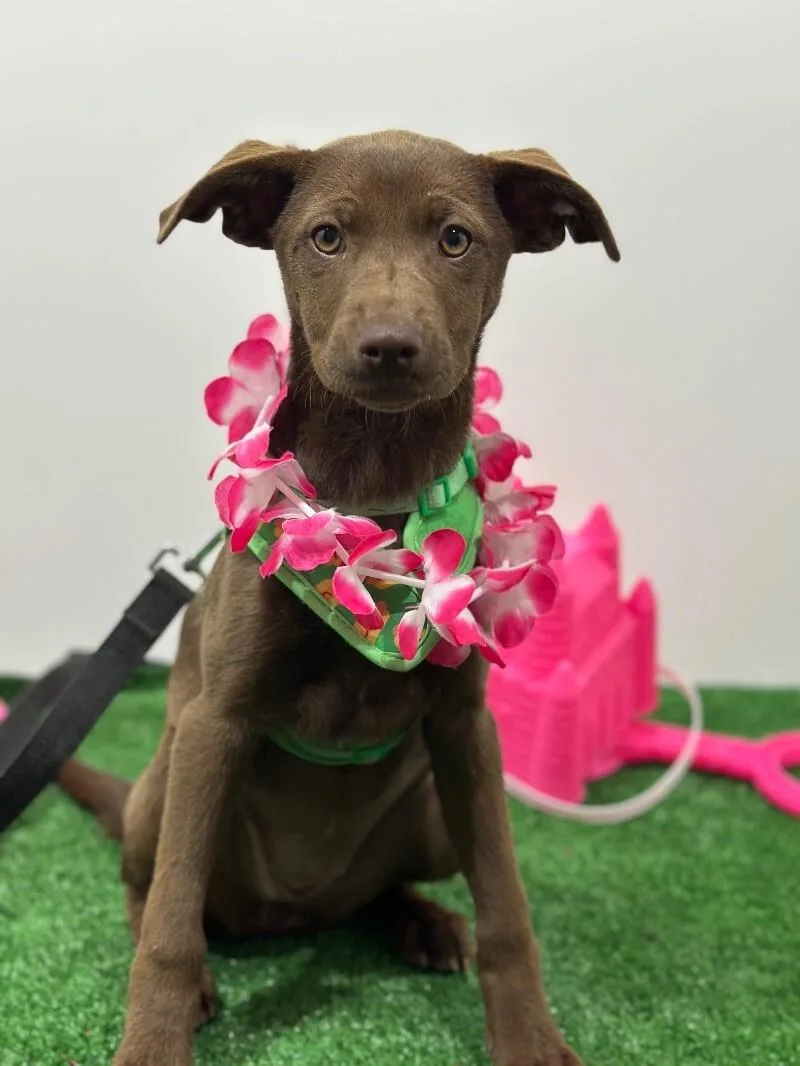 Angelina Jolie photo 1