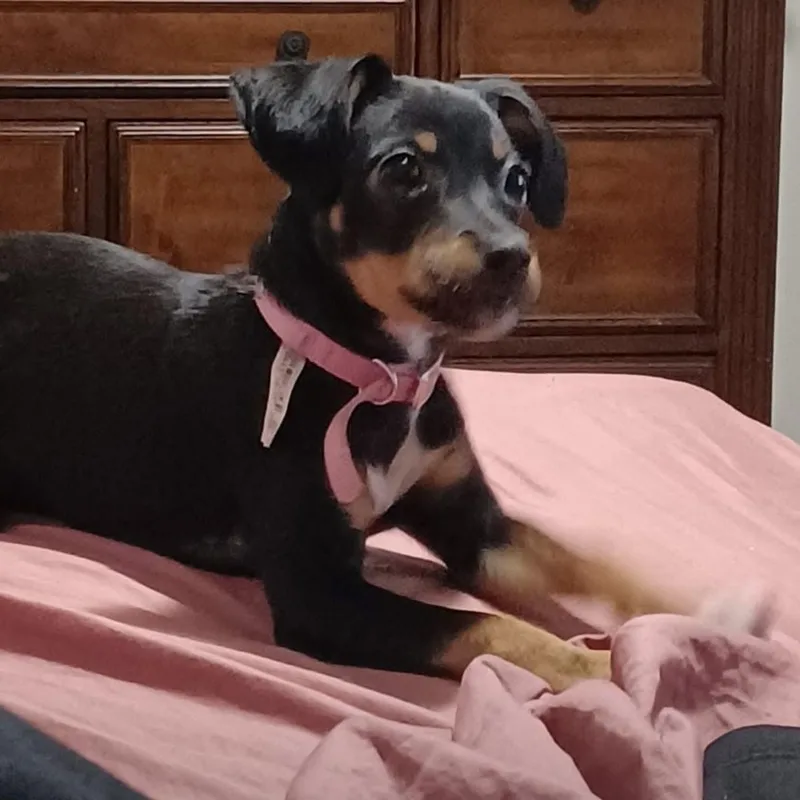 Midnight thumbnail 2