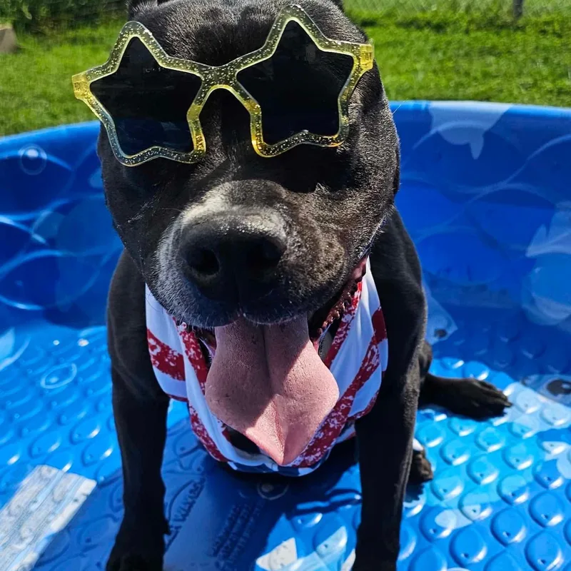 Betty Boop thumbnail 3