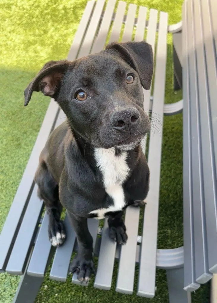 Kiwi The Princess photo 1