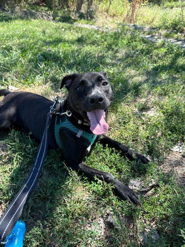 Kiwi The Princess thumbnail 4