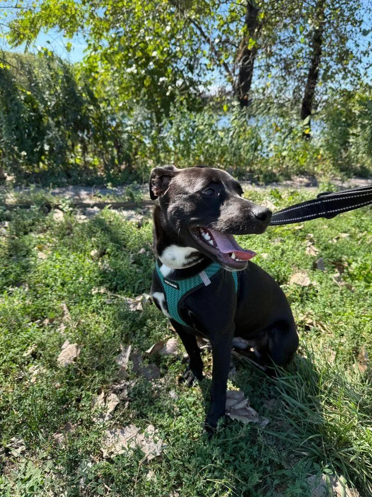 Kiwi The Princess thumbnail 2