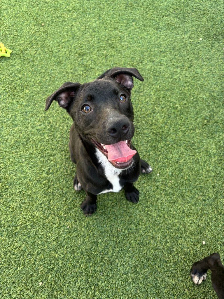 Kiwi The Princess thumbnail 3