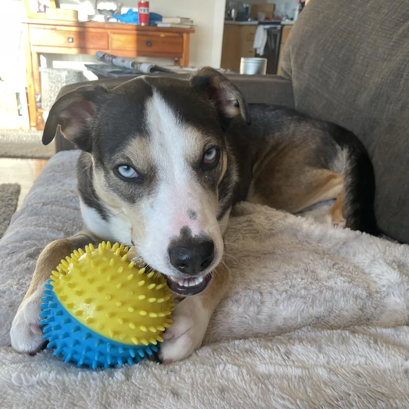 Harry Styles thumbnail 2