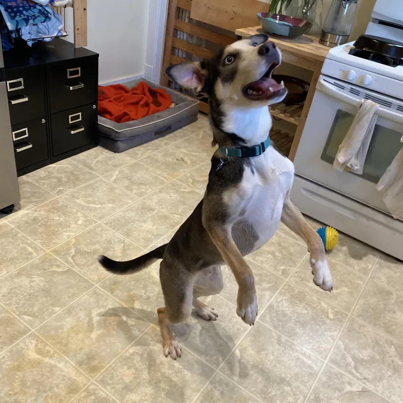 Harry Styles thumbnail 4