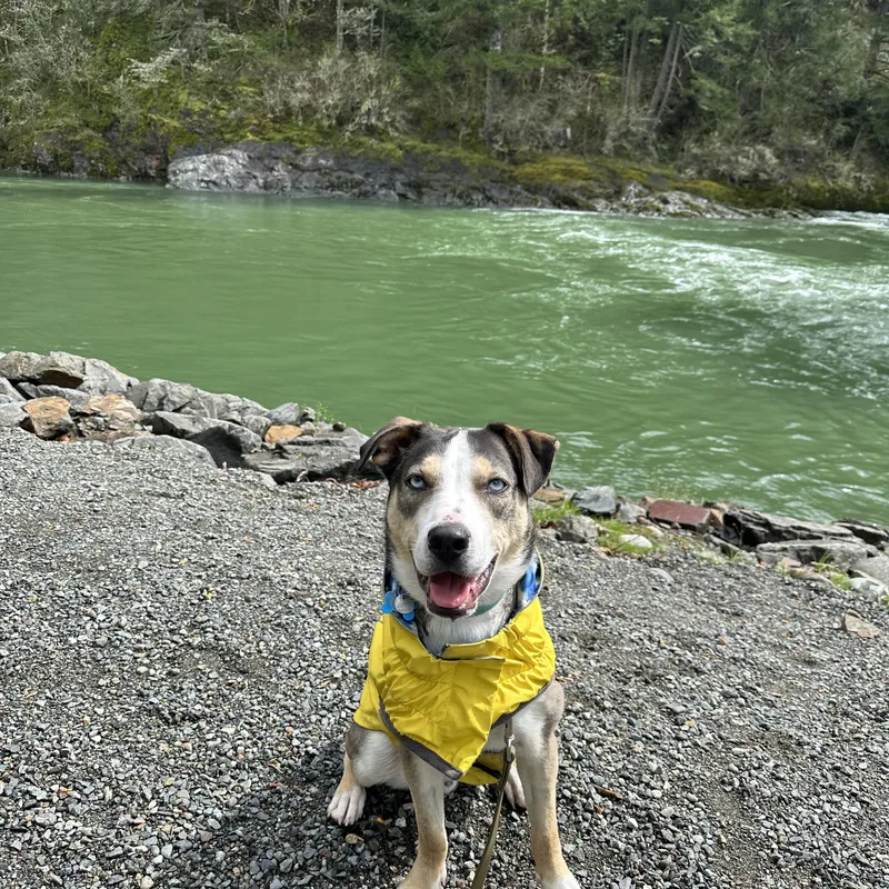 Harry Styles photo 1