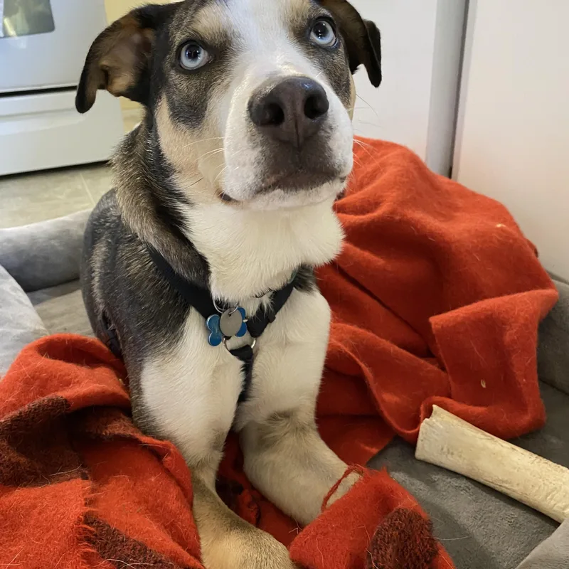 Harry Styles thumbnail 3