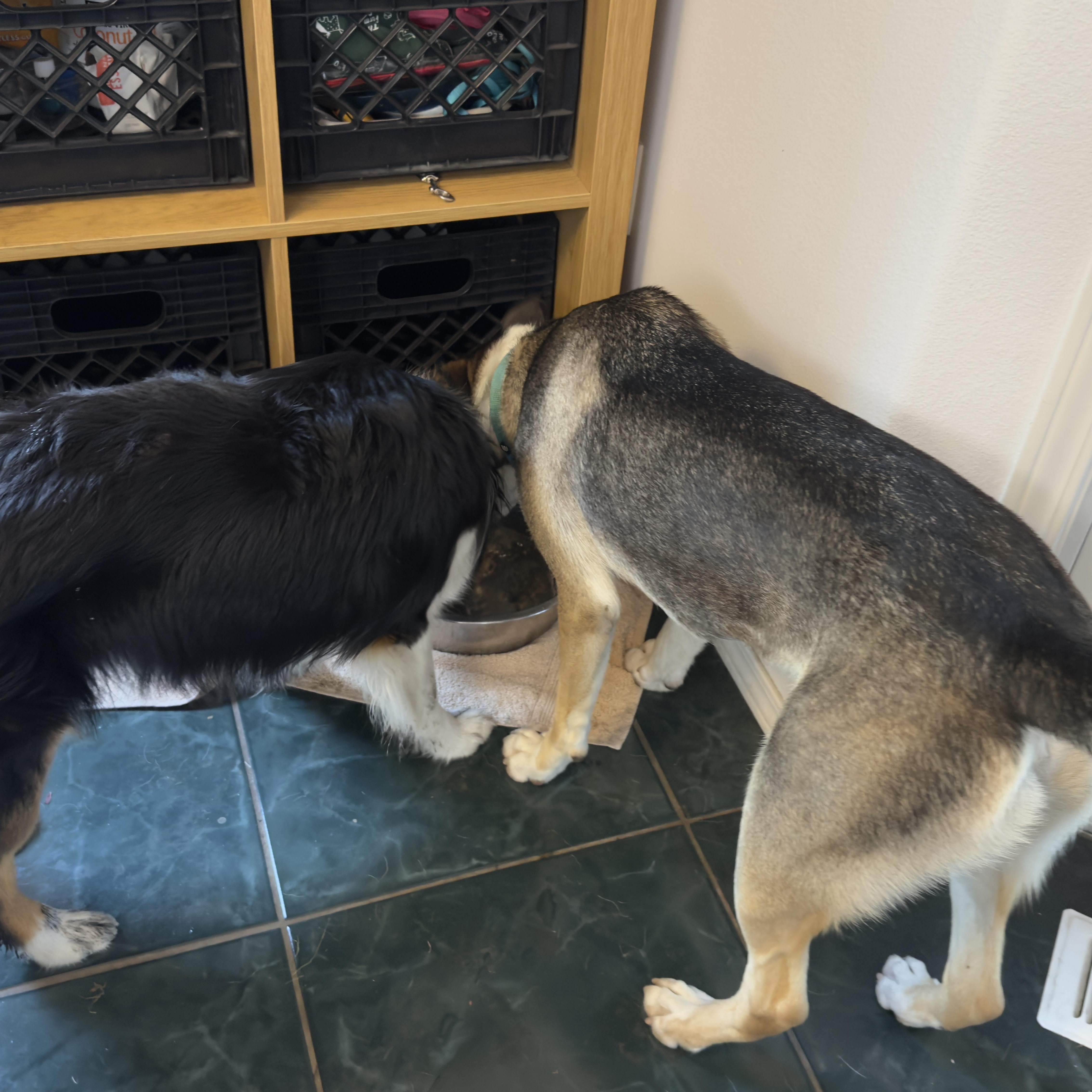 Harry Styles thumbnail 6