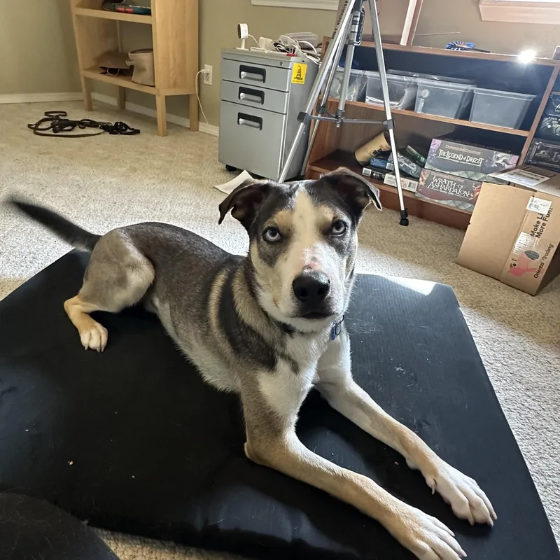 Harry Styles thumbnail 5