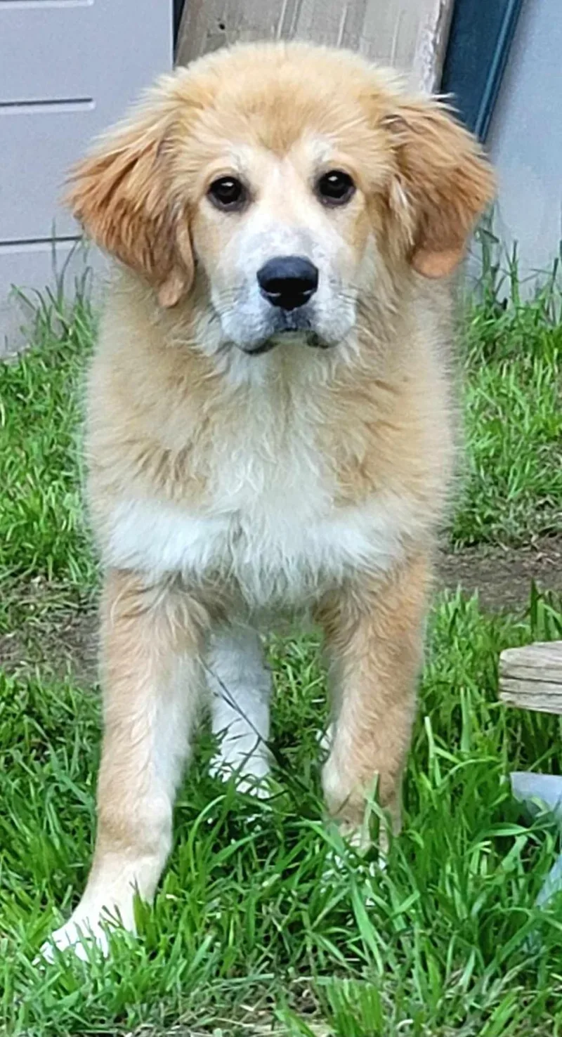 Ellie Mae thumbnail 3