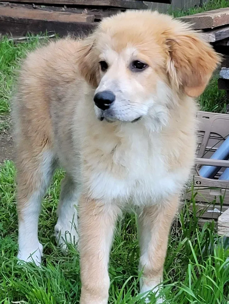 Ellie Mae thumbnail 4