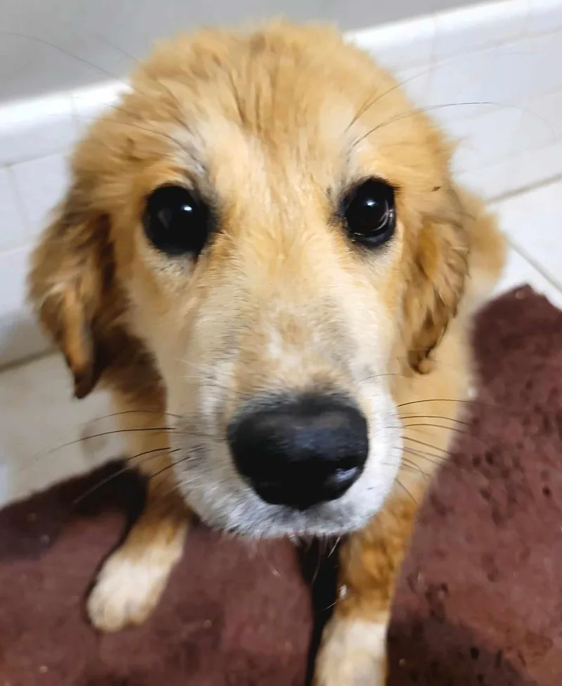 Ellie Mae thumbnail 5