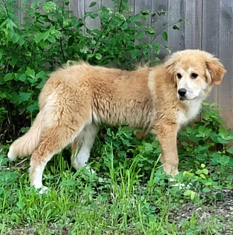 Ellie Mae thumbnail 2