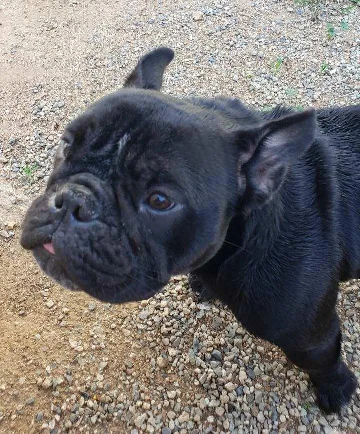 Juliette thumbnail 2