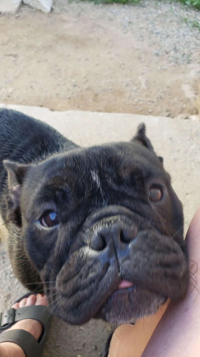 Juliette thumbnail 3